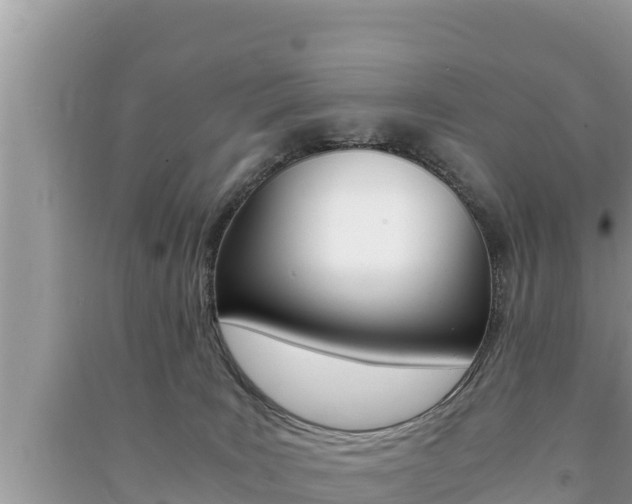 X0000091220035200708091147