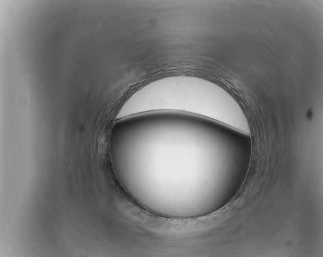 X0000091220037200708091146