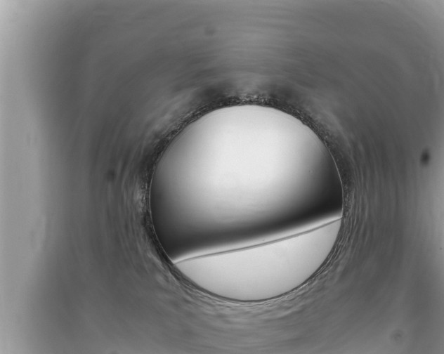 X0000091220039200708091146