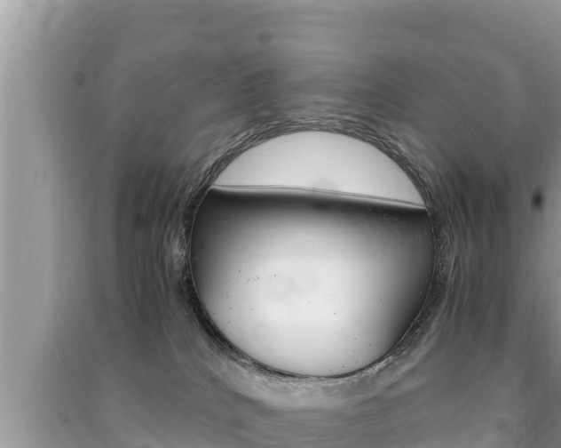 X0000091220040200708091146