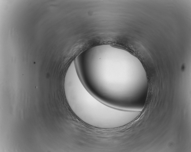 X0000091220041200708091146