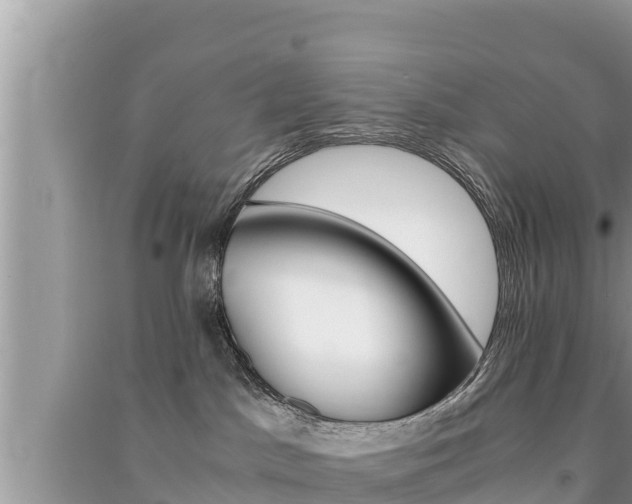 X0000091220045200708091146