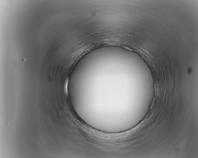 X0000091220047200708091146