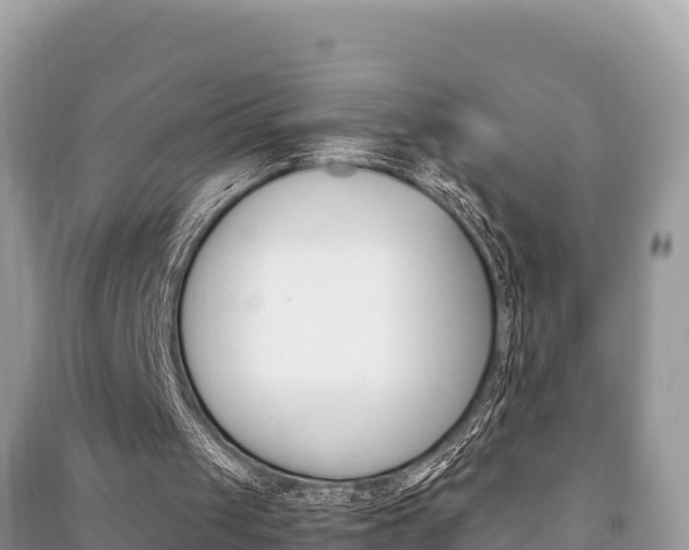 X0000091220049200708091146