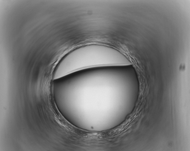 X0000091220050200708091146