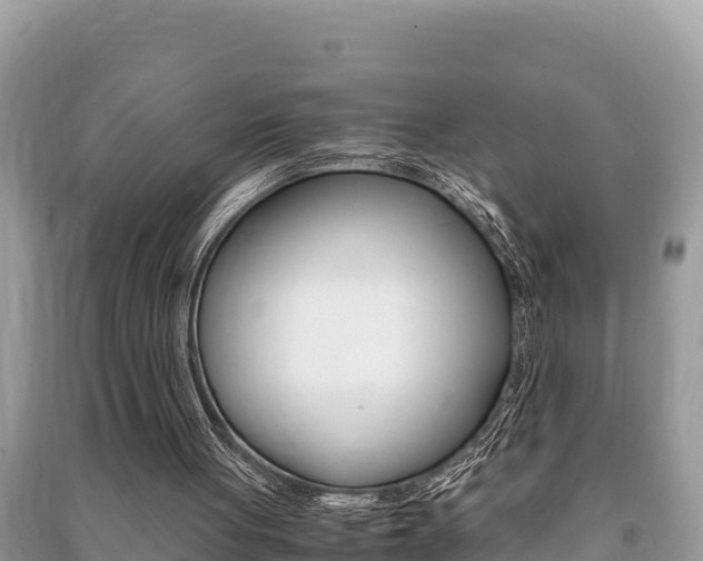 X0000091220051200708091146