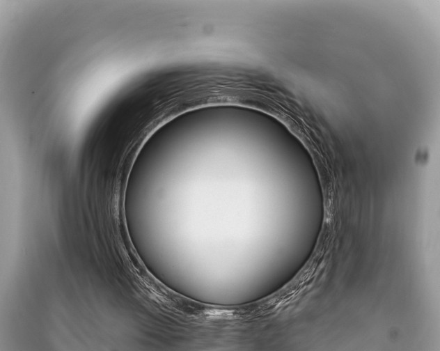 X0000091220052200708091146
