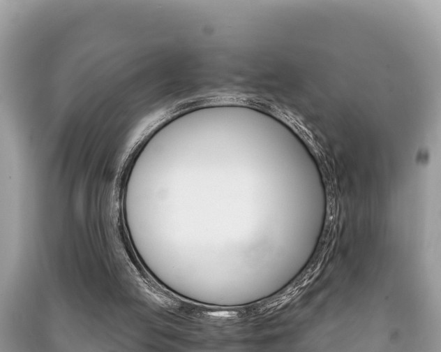 X0000091220053200708091146