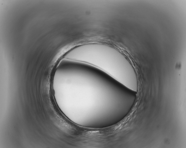 X0000091220054200708091146