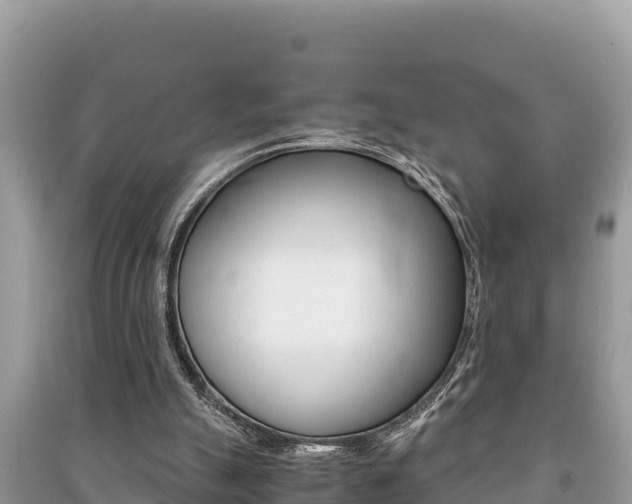 X0000091220055200708091146