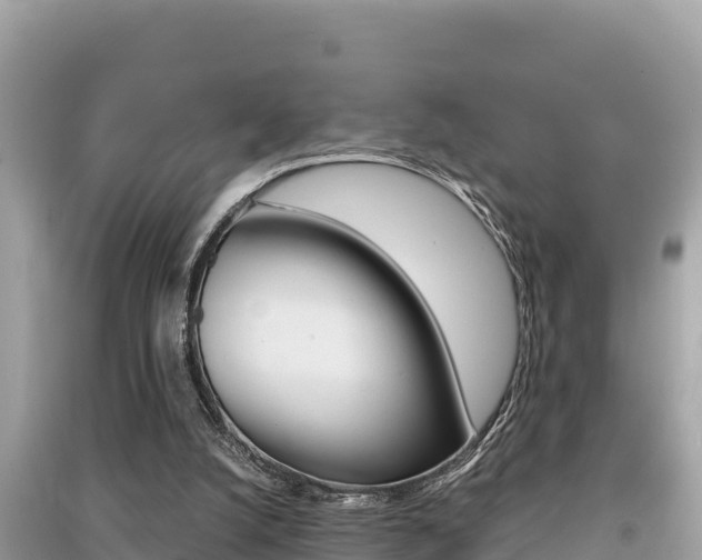 X0000091220056200708091146