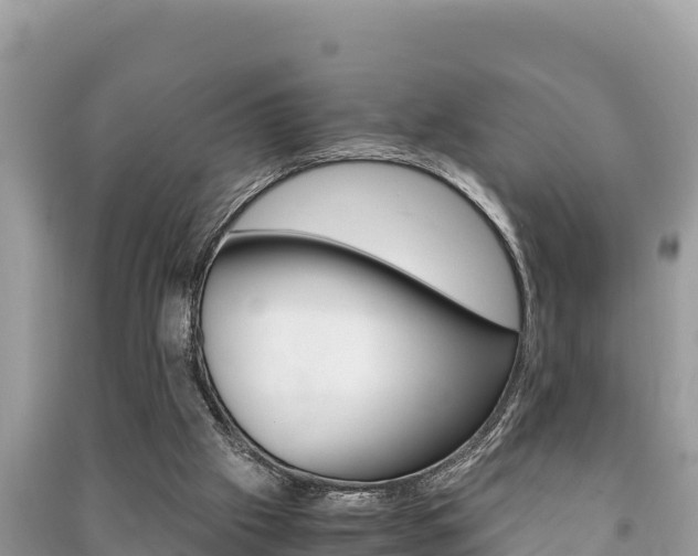 X0000091220057200708091146