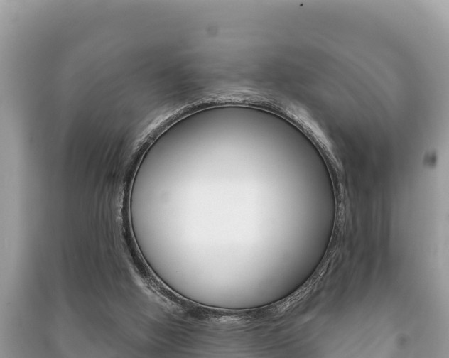 X0000091220058200708091146