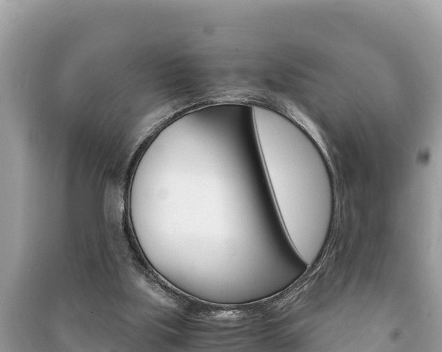 X0000091220059200708091146