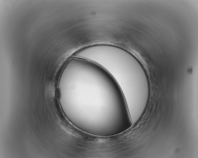 X0000091220060200708091146