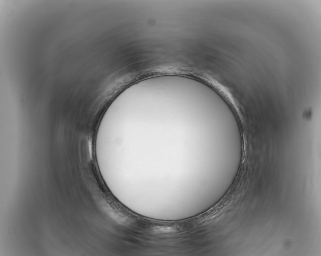 X0000091220061200708091146