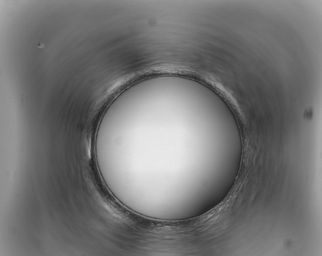 X0000091220062200708091146