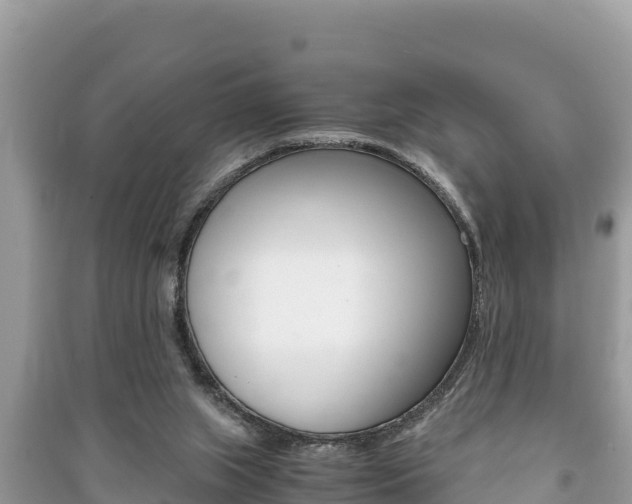 X0000091220063200708091146