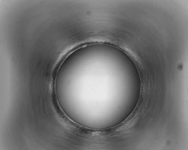 X0000091220064200708091146