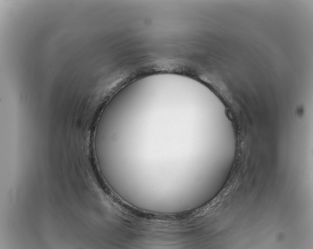 X0000091220066200708091146