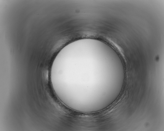 X0000091220067200708091146