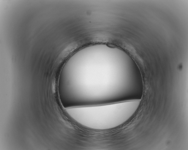 X0000091220068200708091146