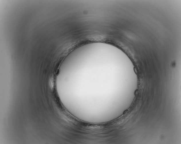X0000091220069200708091146