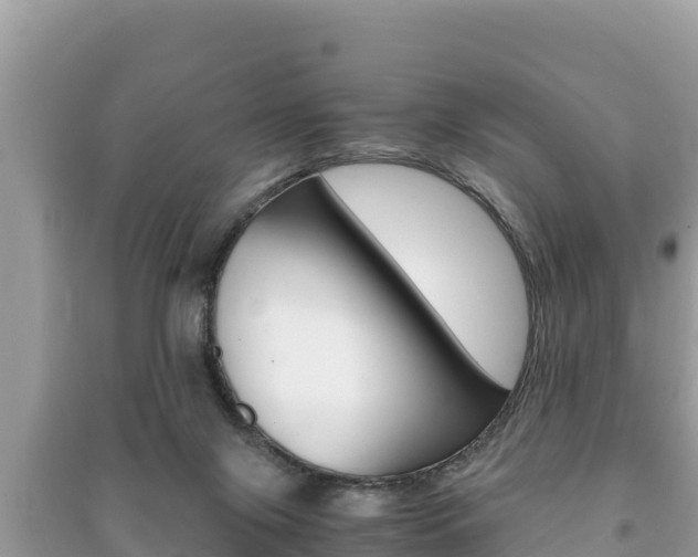 X0000091220071200708091146