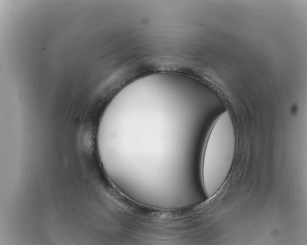 X0000091220074200708091146