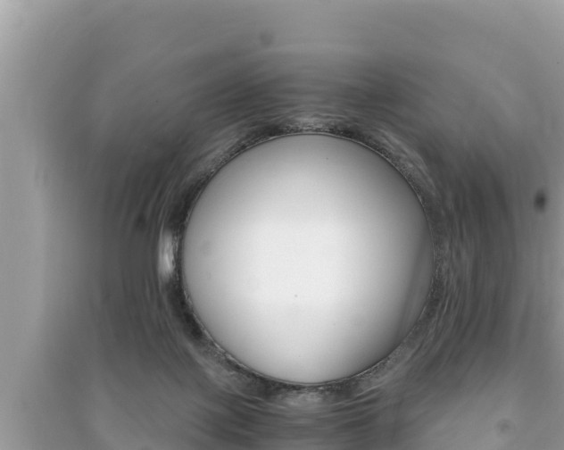 X0000091220075200708091146
