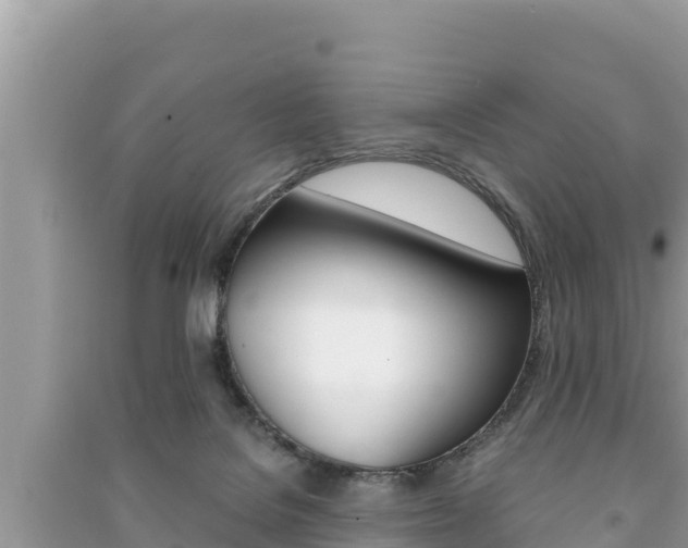 X0000091220076200708091146