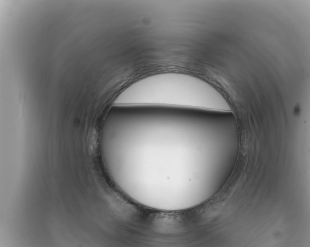 X0000091220077200708091146