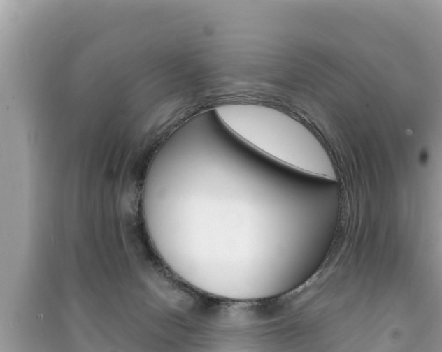 X0000091220078200708091146