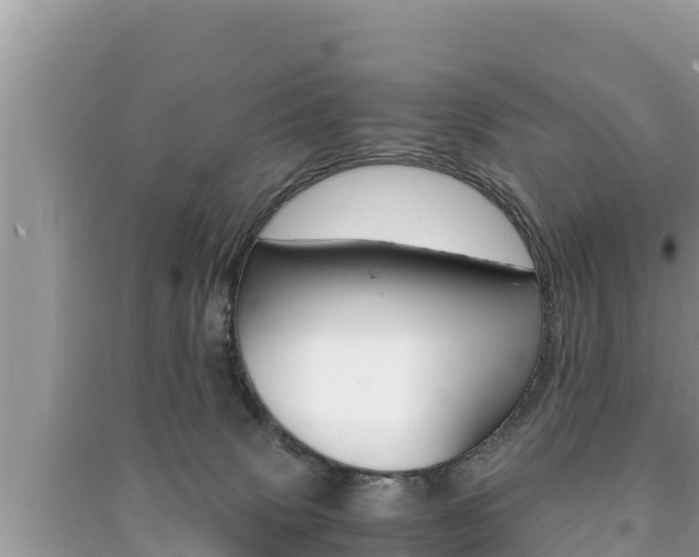 X0000091220083200708091146