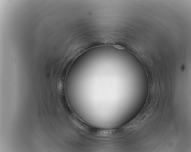 X0000091220084200708091146