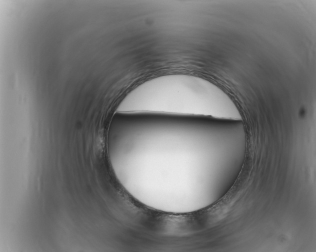 X0000091220085200708091146