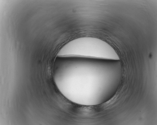 X0000091220086200708091146