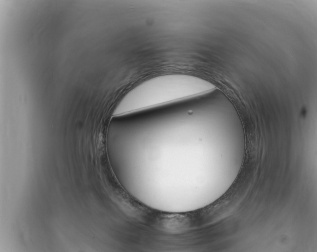 X0000091220087200708091146
