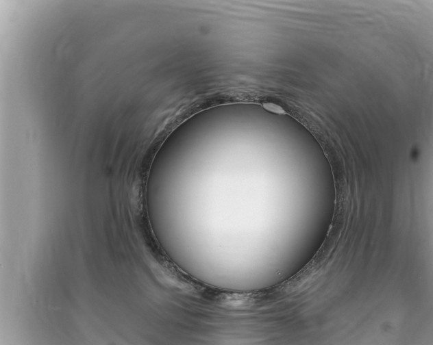 X0000091220088200708091146