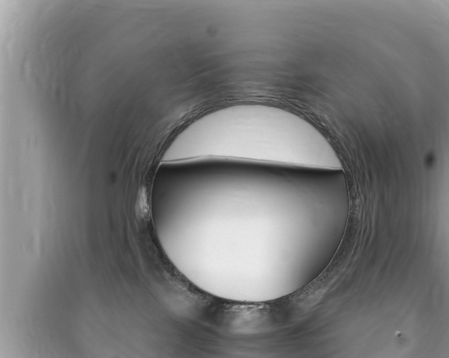 X0000091220089200708091146