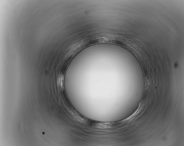 X0000091220094200708091146