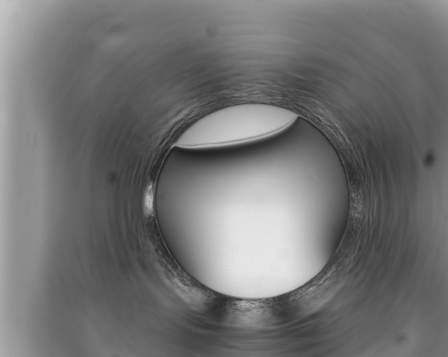 X0000091220095200708091146