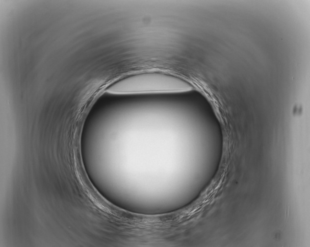 X0000091220097200708091146