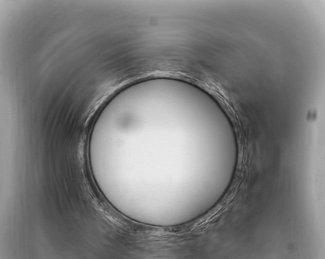 X0000091220098200708091146