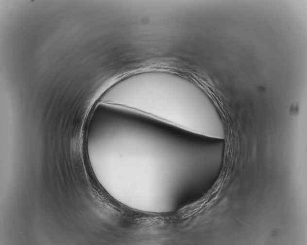 X0000091220100200708091146