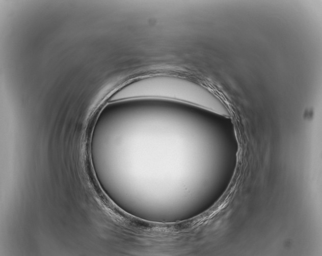X0000091220101200708091146