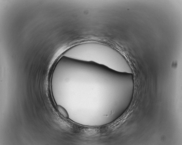 X0000091220102200708091146