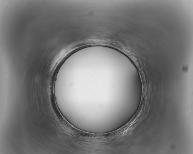 X0000091220103200708091146