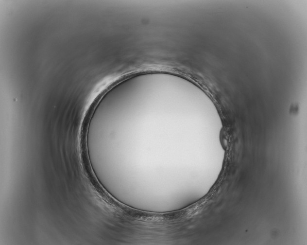 X0000091220104200708091146