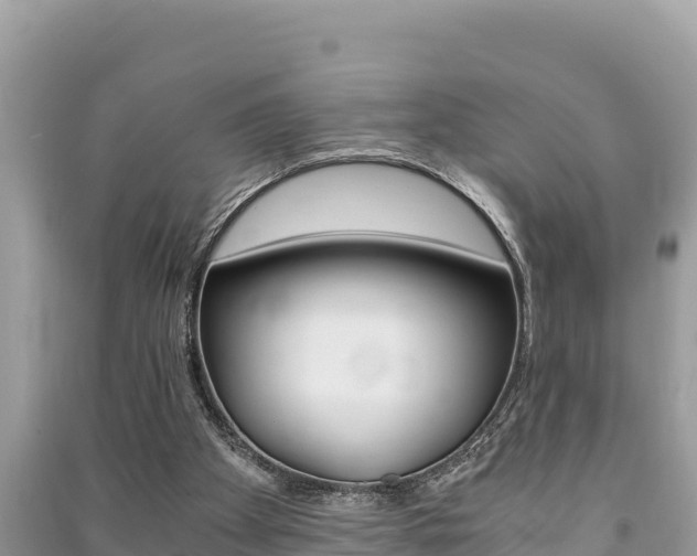 X0000091220105200708091146